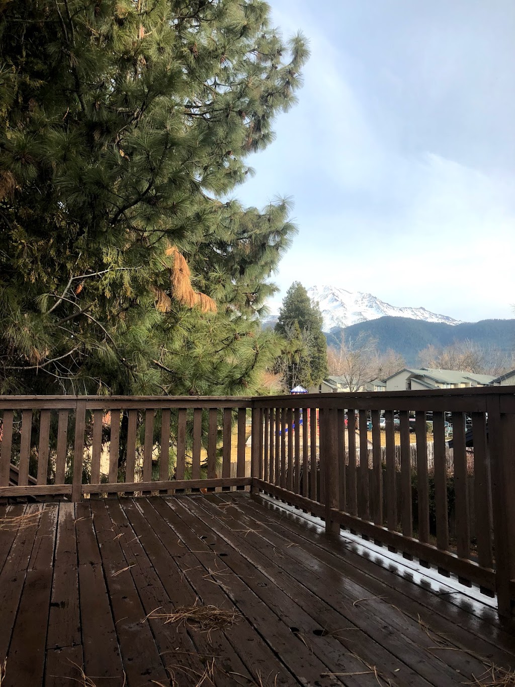 Alpenrose Cottage Guest House | restaurant | 204 E Hinckley St, Mt Shasta, CA 96067, USA | 5309266724 OR +1 530-926-6724