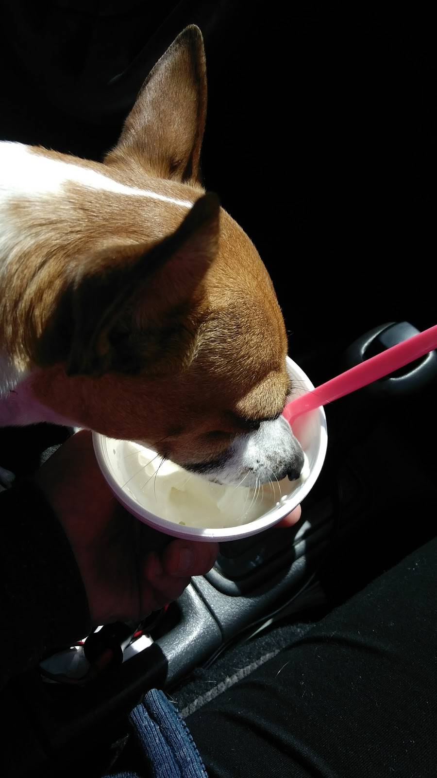 Malt Shops | restaurant | 2004 Scioto Trail, Portsmouth, OH 45662, USA | 7403536665 OR +1 740-353-6665