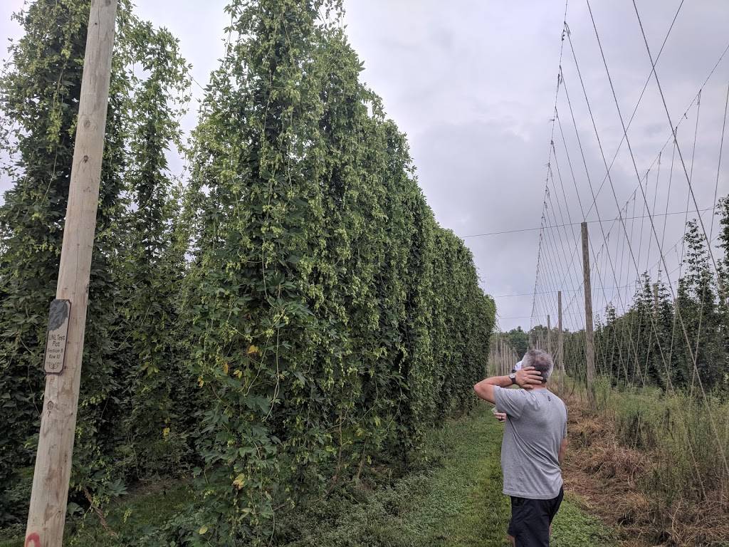 The Hop Yard | restaurant | 18003 Club View Dr, Plattsmouth, NE 68048, USA | 4022960633 OR +1 402-296-0633