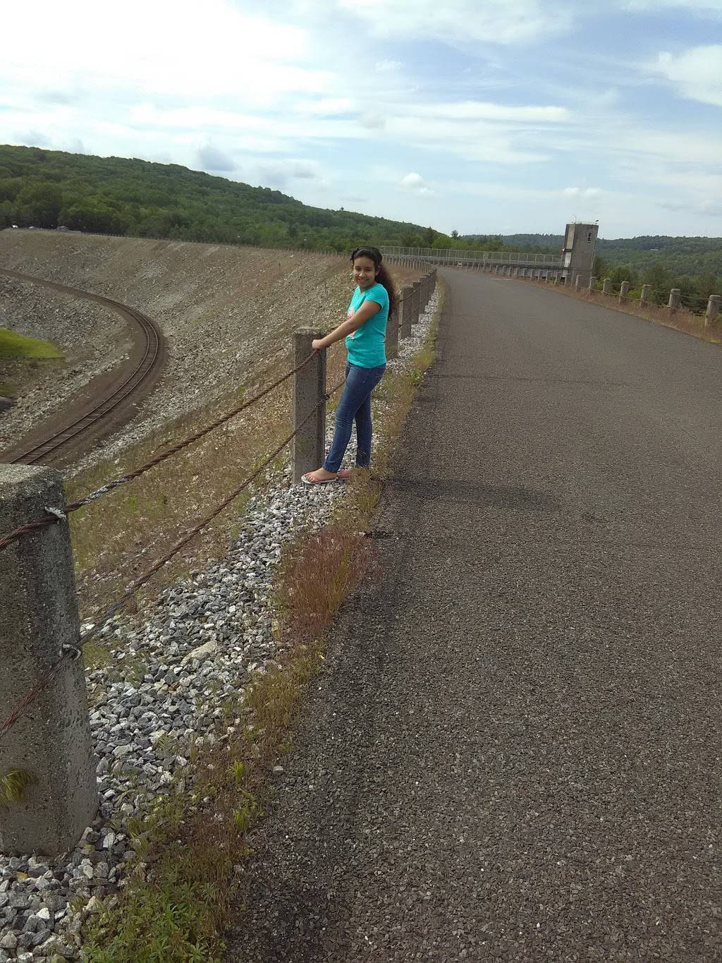 Bricins Festival Foods | restaurant | 753 Hill Rd, Harwinton, CT 06791, USA | 8603091836 OR +1 860-309-1836