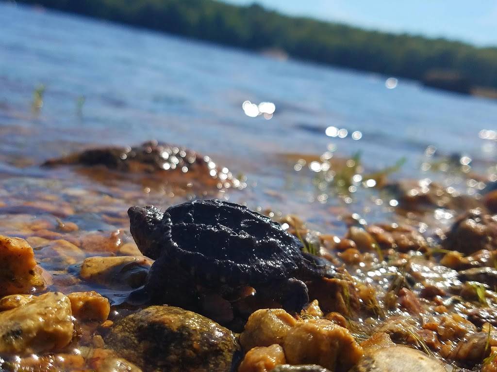 Carbones Restaurant | restaurant | 280 Cedar St, Hopkinton, MA 01748, USA | 5084353465 OR +1 508-435-3465