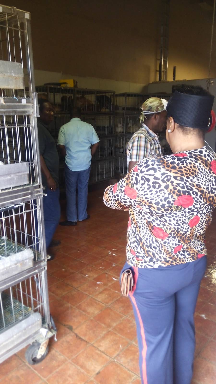 Orlando Live Poultry | restaurant | 2499 Regent Ave, Orlando, FL 32804, USA | 4075322260 OR +1 407-532-2260