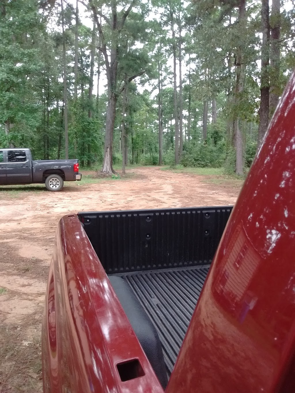 Bass Haven Restaurant | restaurant | 70 Lafayette #235, Taylor, AR 71861, USA | 8706946221 OR +1 870-694-6221