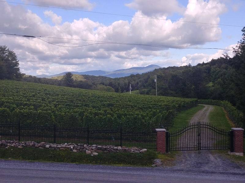 Le Vignoble du Ruisseau | restaurant | 4500 Chemin Strobl, Dunham, QC J0E 1M0, Canada | 4505383782 OR +1 450-538-3782