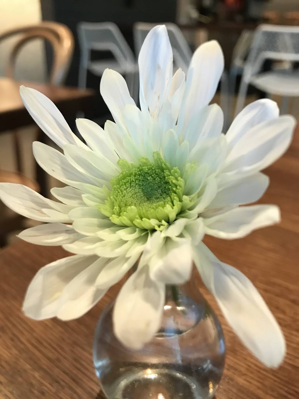 Unleavened Fresh Kitchen | restaurant | 6632 Snider Plaza, Dallas, TX 75205, USA | 2148909820 OR +1 214-890-9820