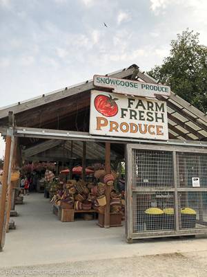 Snow Goose Produce Mt. Vernon | restaurant | 15302 Fir Island Rd, Mt Vernon, WA 98273, USA | 3604456908 OR +1 360-445-6908