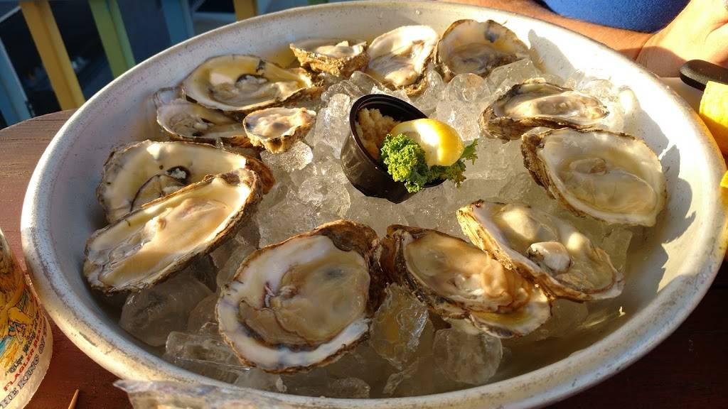 The Golden Lion Cafe | restaurant | 501 N Ocean Shore Blvd, Flagler Beach, FL 32136, USA | 3864393004 OR +1 386-439-3004