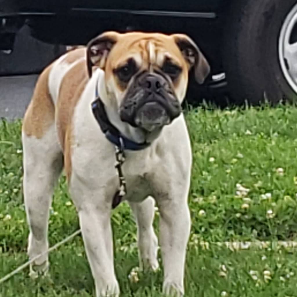 Grotto Bar & Grill | restaurant | 403 Perry Hwy, Pittsburgh, PA 15229, USA | 4123010921 OR +1 412-301-0921