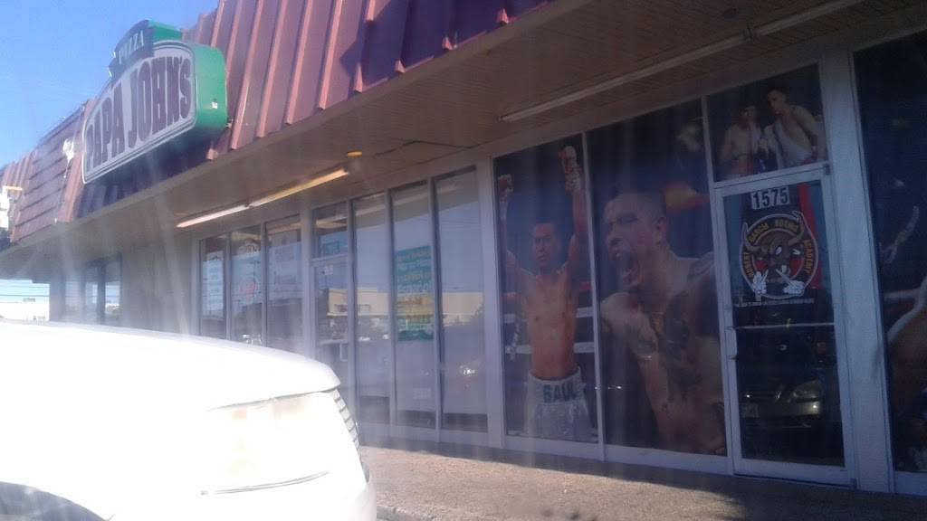 Papa Johns Pizza | restaurant | 1573 Bandera, San Antonio, TX 78228, USA | 2104327272 OR +1 210-432-7272