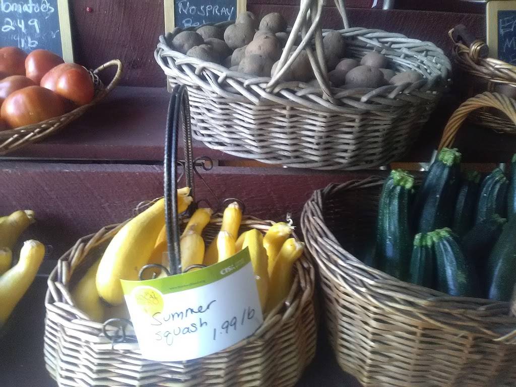 Christophers Sports Tavern | restaurant | 360 Cooley St, Springfield, MA 01128, USA | 4133630650 OR +1 413-363-0650