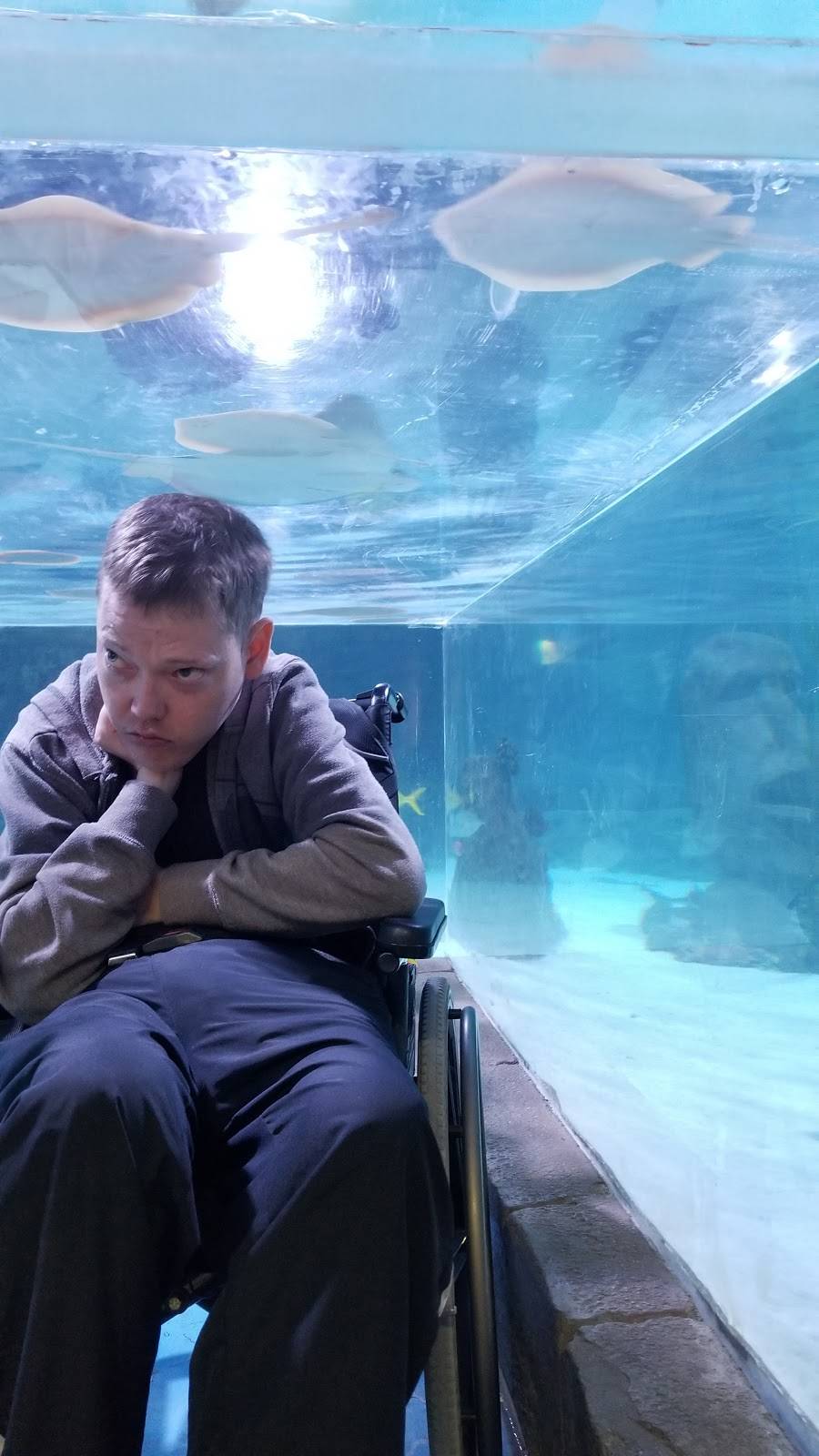 Chipotle Mexican Grill | restaurant | 8501 W Bowles Ave Ste 2020, Littleton, CO 80123, USA | 3039733401 OR +1 303-973-3401