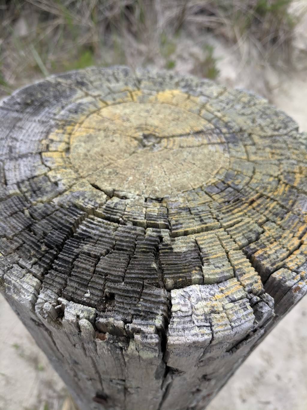 Kalmus Beach Snack Bar | meal takeaway | 670 Ocean St, Hyannis, MA 02601, USA | 5087780777 OR +1 508-778-0777