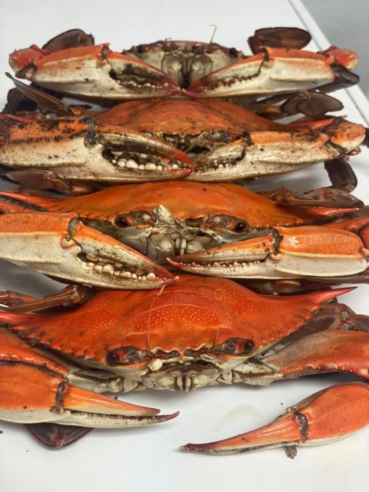 ZULU Crab Shack | restaurant | 1430 E Park Ave, Valdosta, GA 31602, USA | 2294694505 OR +1 229-469-4505