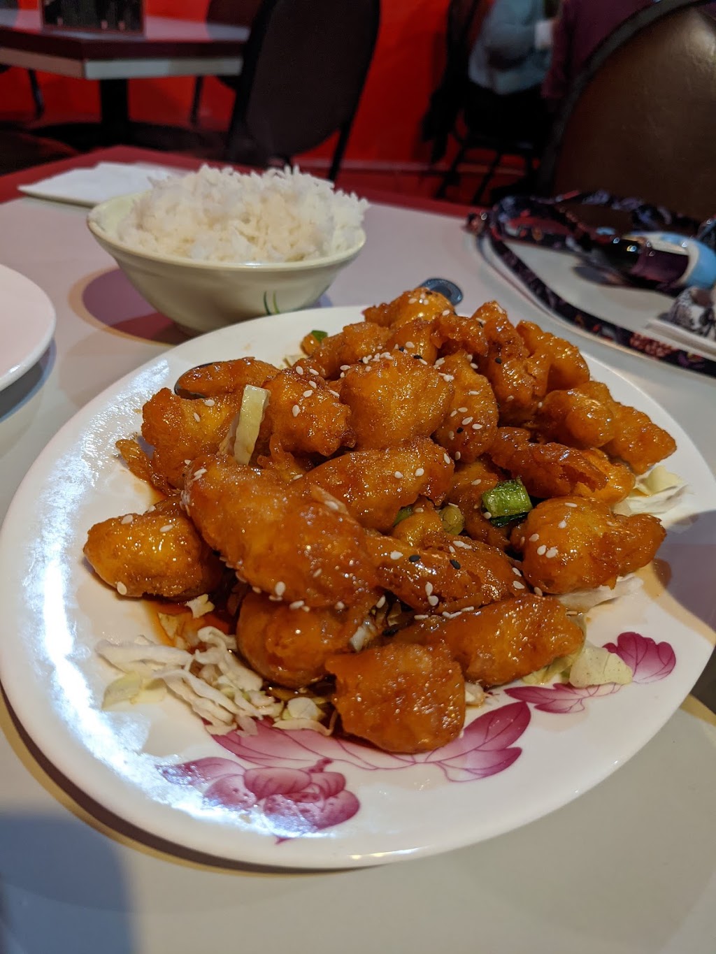 Yu Garden Asian Cuisine | restaurant | 1033 Paseo Del Pueblo Sur, Taos, NM 87571, USA | 5757587828 OR +1 575-758-7828