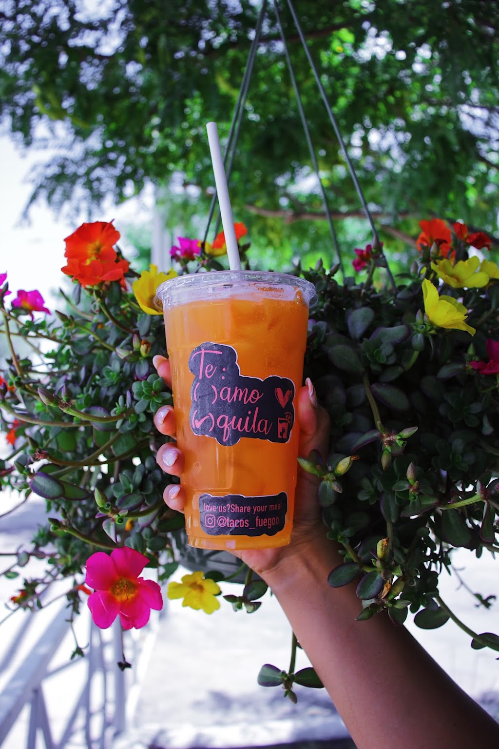 Tacos Fuego | restaurant | 1305 E Routt Ave, Pueblo, CO 81004, USA | 7195428226 OR +1 719-542-8226