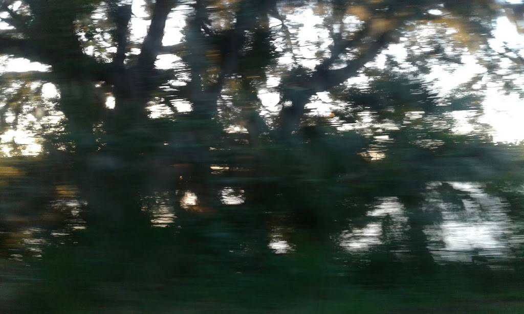 Wesleys Concessions | restaurant | 999 Ave H NE, Winter Haven, FL 33881, USA | 8632975000 OR +1 863-297-5000