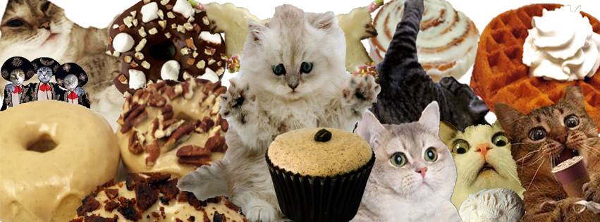 Fat Cats Organic Coffee & Desserts | bakery | 7020 Easy Wind Dr Suite 140, Austin, TX 78752, USA | 5122962960 OR +1 512-296-2960