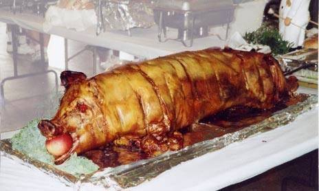 Fairview Catering | restaurant | 2016 Lehigh Ave, Whitehall, PA 18052, USA | 6102645638 OR +1 610-264-5638