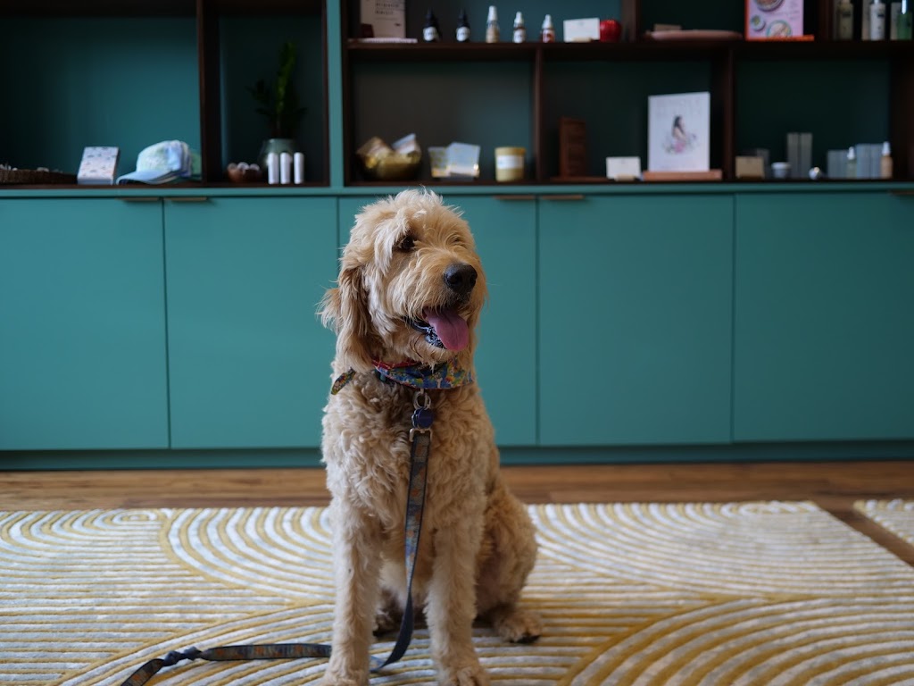 Sunnys | restaurant | 110 NW 2nd St Suite 106, Bentonville, AR 72712, USA | 4794312223 OR +1 479-431-2223