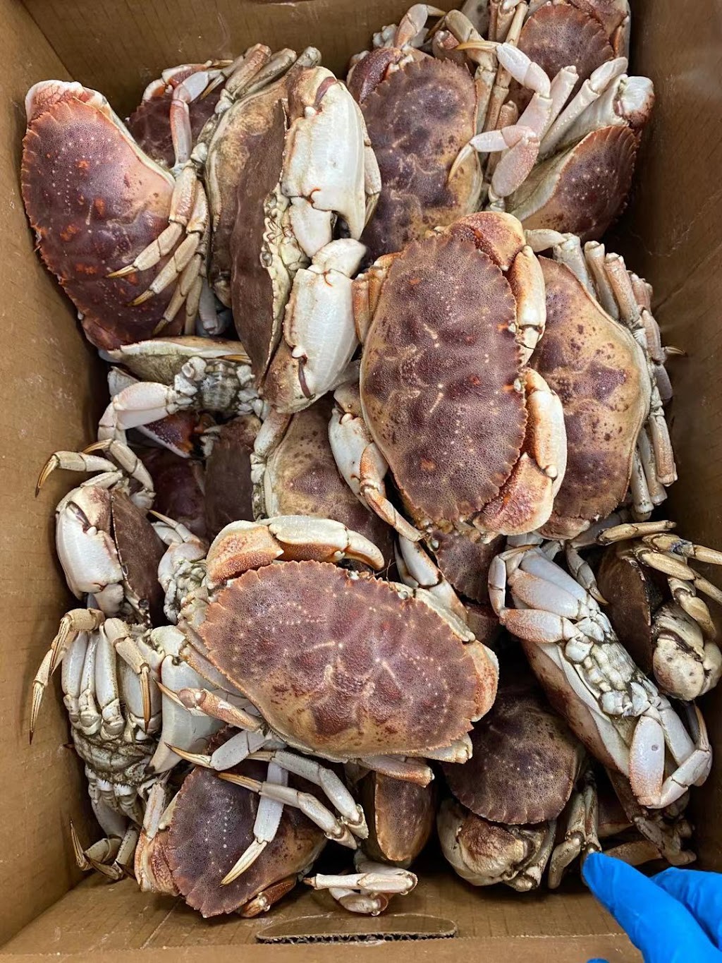 Friends hot pot | restaurant | 12703 W Sunrise Blvd, Sunrise, FL 33323, USA | 9548581777 OR +1 954-858-1777