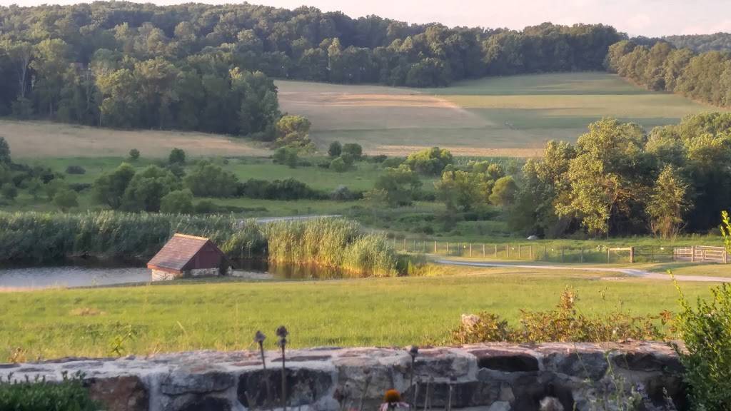 Wyebrook Farm | restaurant | 150 Wyebrook Rd, Honey Brook, PA 19344, USA | 6109427481 OR +1 610-942-7481