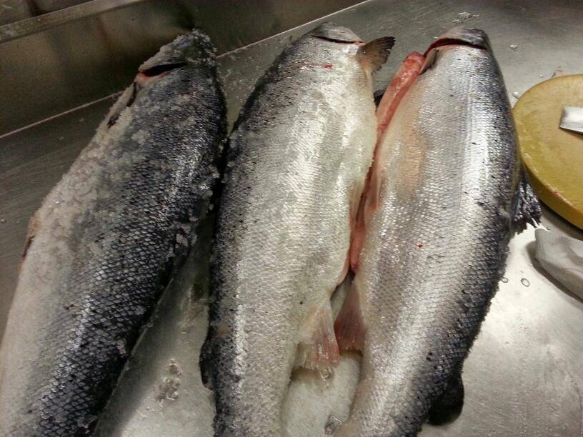 Amazing Wok | restaurant | 1892 Central Ave, Albany, NY 12205, USA | 5184564000 OR +1 518-456-4000