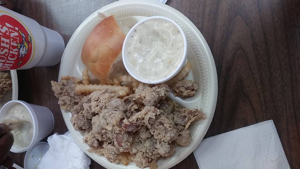 Bushs Chicken | restaurant | 1704 S Valley Mills Dr, Waco, TX 76711, USA | 2547543884 OR +1 254-754-3884