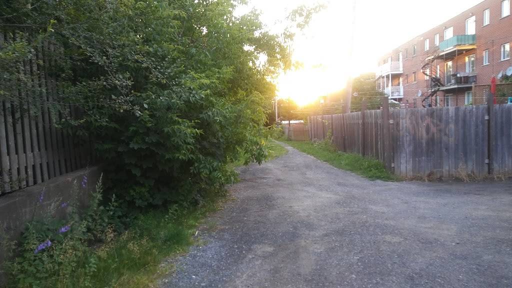 Brasserie Cannebière 1986 Inc | restaurant | 4975 Rue Beaubien E, Montréal, QC H1T 1V3, Canada | 5147293442 OR +1 514-729-3442