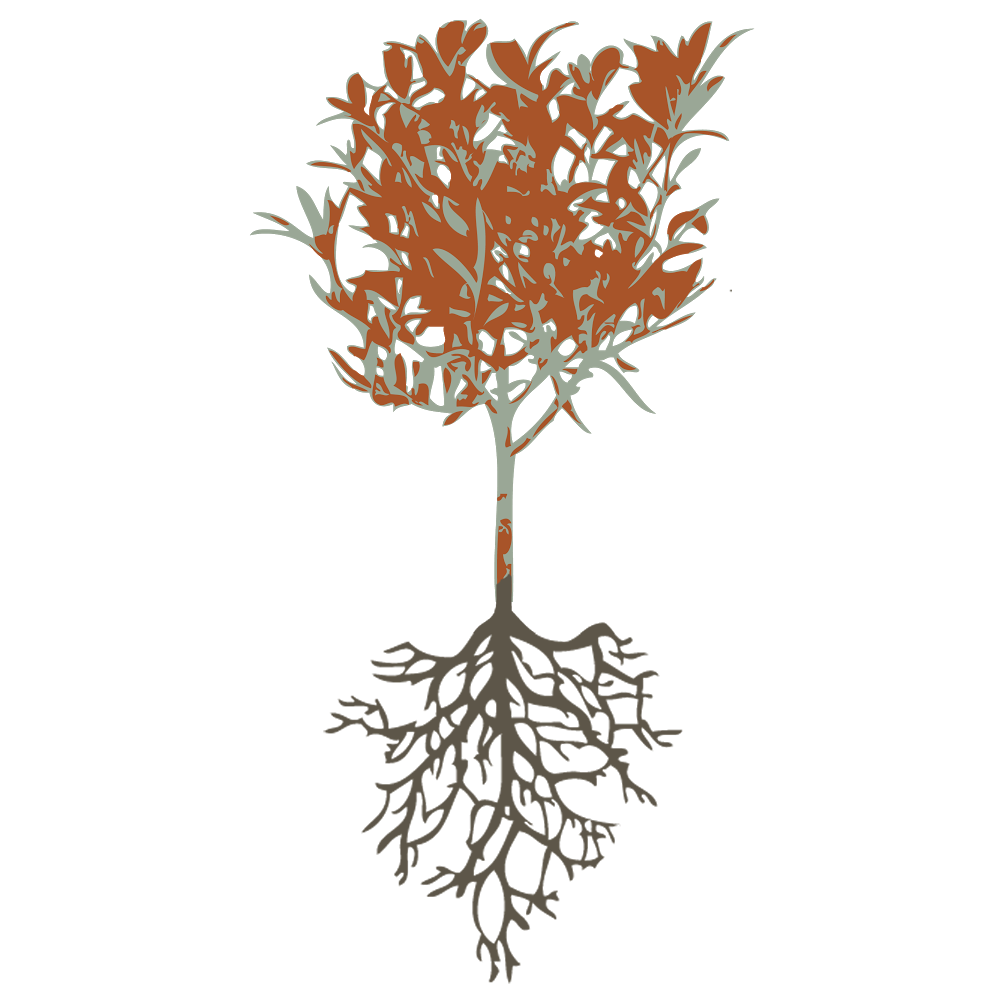 Cesco Osteria & Co2 Lounge | cafe | 7401 Woodmont Ave, Bethesda, MD 20814, USA | 3016548333 OR +1 301-654-8333