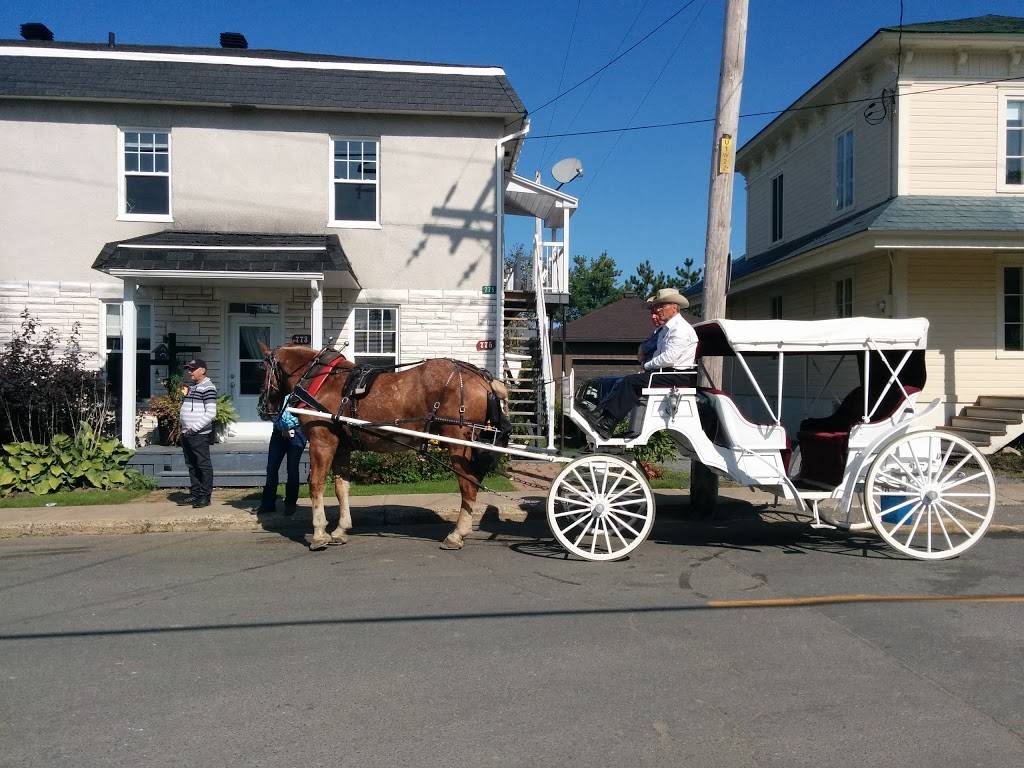 Pizzeria Stratos | meal delivery | 440 Rue Saint Gabriel, Saint-Tite, QC G0X 3H0, Canada | 4183656666 OR +1 418-365-6666