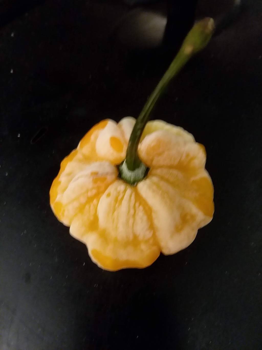 Chefs Fast Chicken & Steves Stoopid Subs, Gyros and Empanadas | restaurant | 904 Oak St, Melbourne Beach, FL 32951, USA | 3219518100 OR +1 321-951-8100