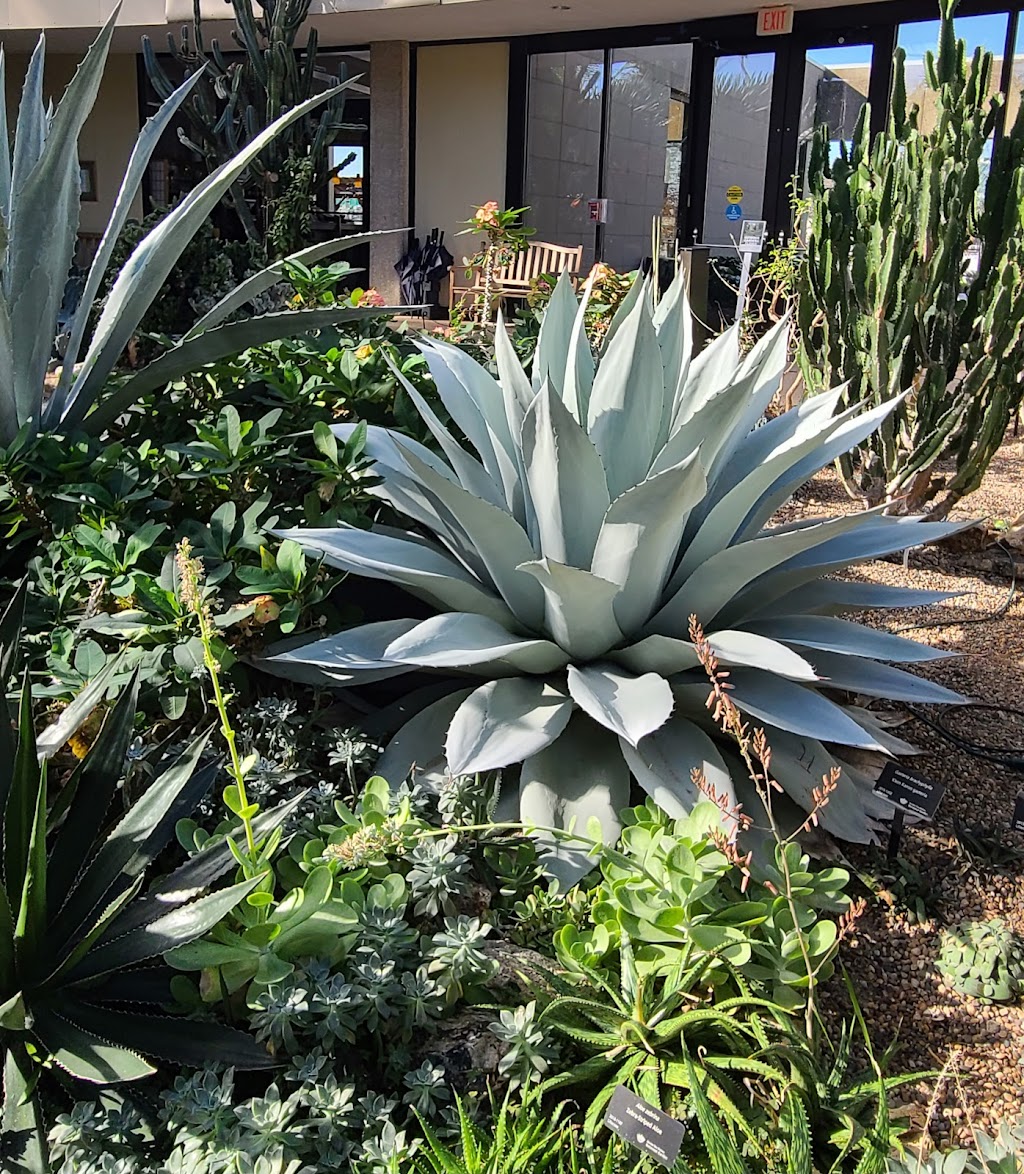 Greater Des Moines Botanical Garden | restaurant | 909 Robert D. Ray Dr, Des Moines, IA 50309, USA | 5153236290 OR +1 515-323-6290