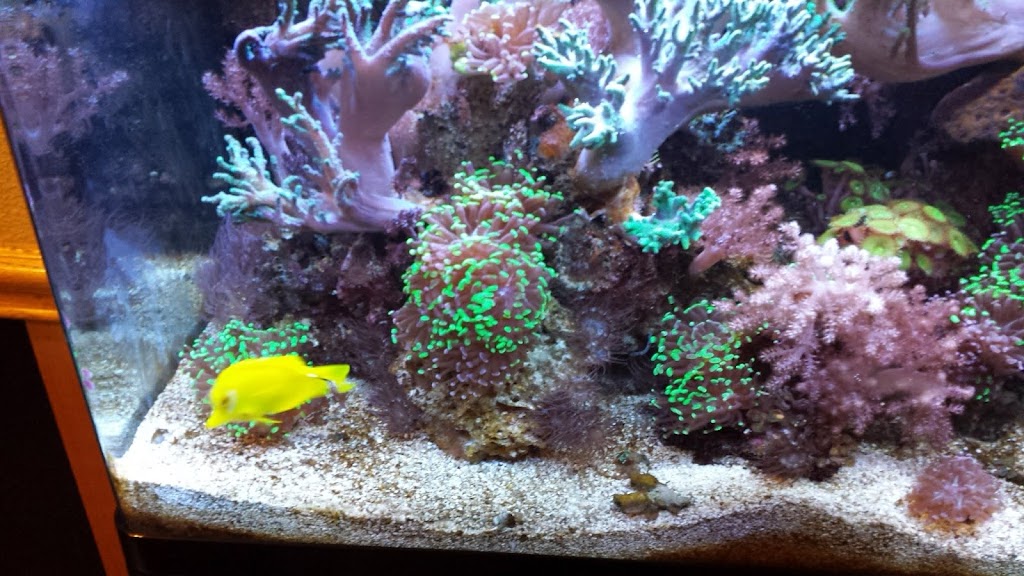 New China Restaurant | restaurant | 409 E Barnett Rd, Medford, OR 97501, USA | 5412458878 OR +1 541-245-8878