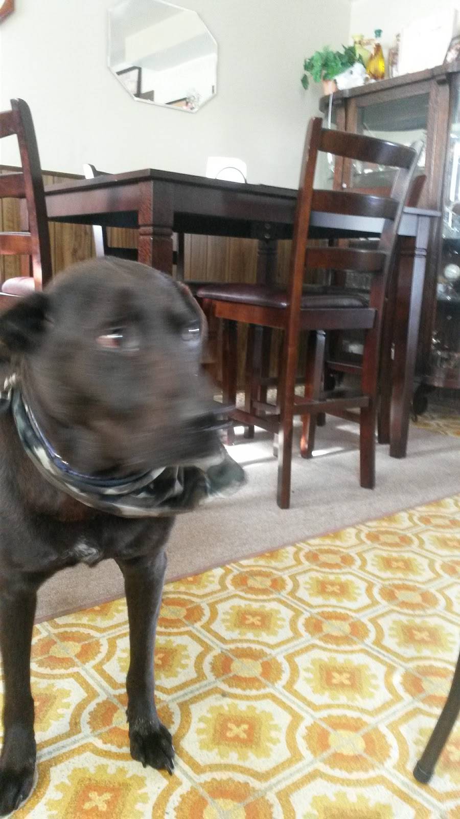 Subway | restaurant | 868 N Van Dyke Rd, Almont, MI 48003, USA | 8107988002 OR +1 810-798-8002