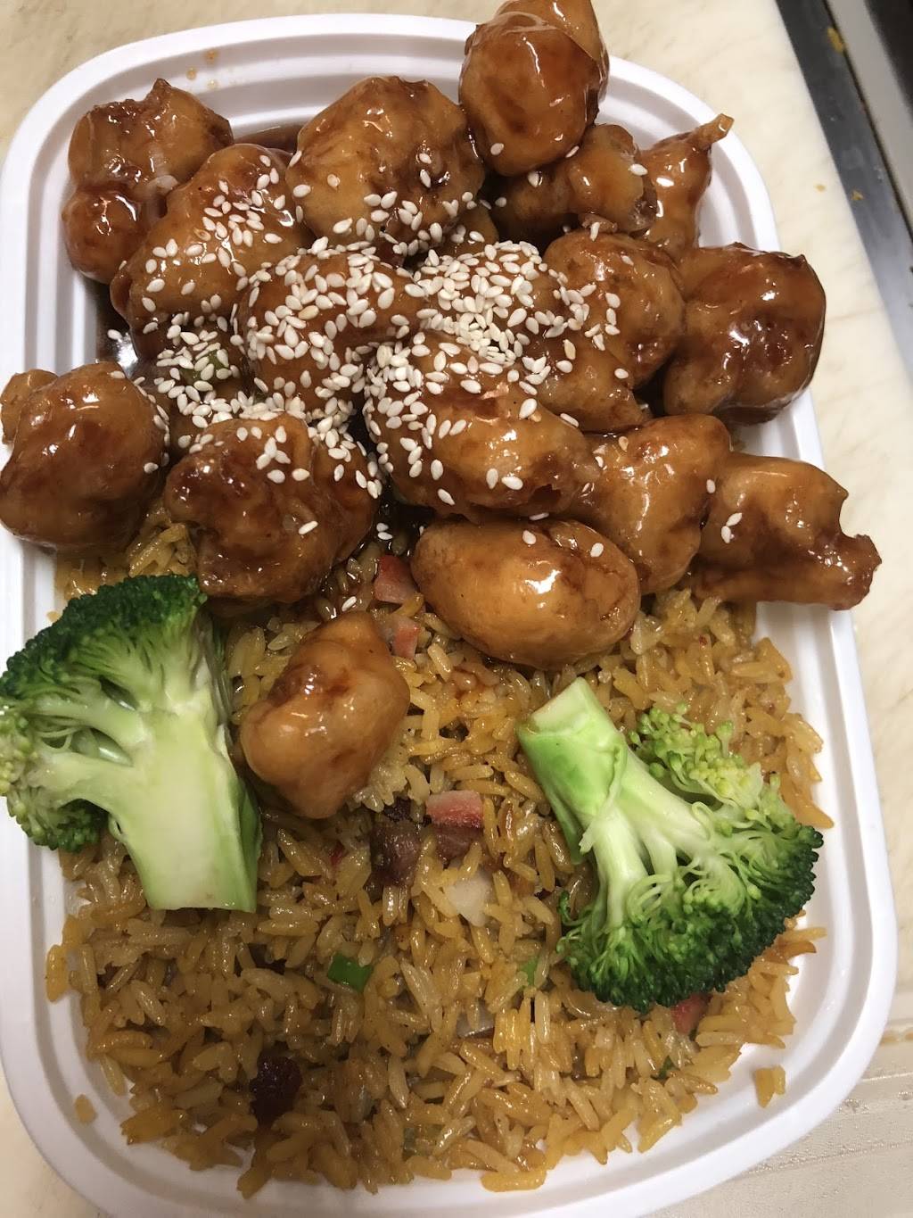 China Star | restaurant | 6925 US-301 S, Riverview, FL 33578, USA | 8136710688 OR +1 813-671-0688