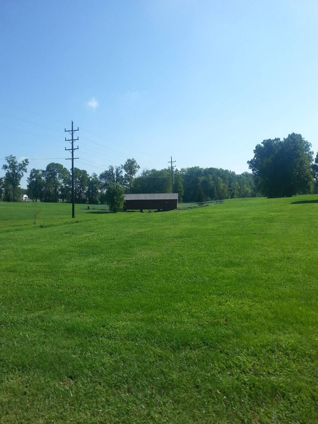 Grateful Pie | restaurant | 308 E Berry St, Greencastle, IN 46135, USA | 7653019700 OR +1 765-301-9700