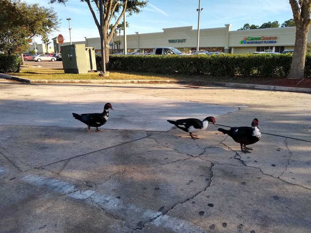 Sonic Drive-In | restaurant | 11110 Beach Blvd, Jacksonville, FL 32246, USA | 9046425819 OR +1 904-642-5819