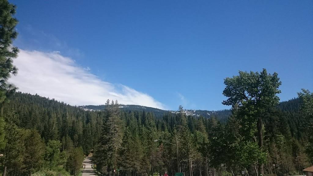 Bassett Station | cafe | 100 Gold Lake Rd, Sierra City, CA 96125, USA | 5308621297 OR +1 530-862-1297