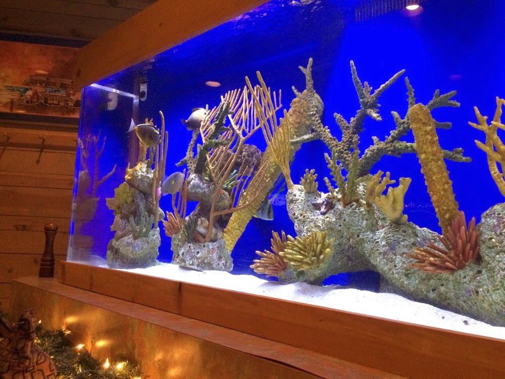 Kona Jacks Restaurant, Fish Market & Sushi Bar | restaurant | 9413 N Meridian St, Indianapolis, IN 46260, USA | 3178431609 OR +1 317-843-1609