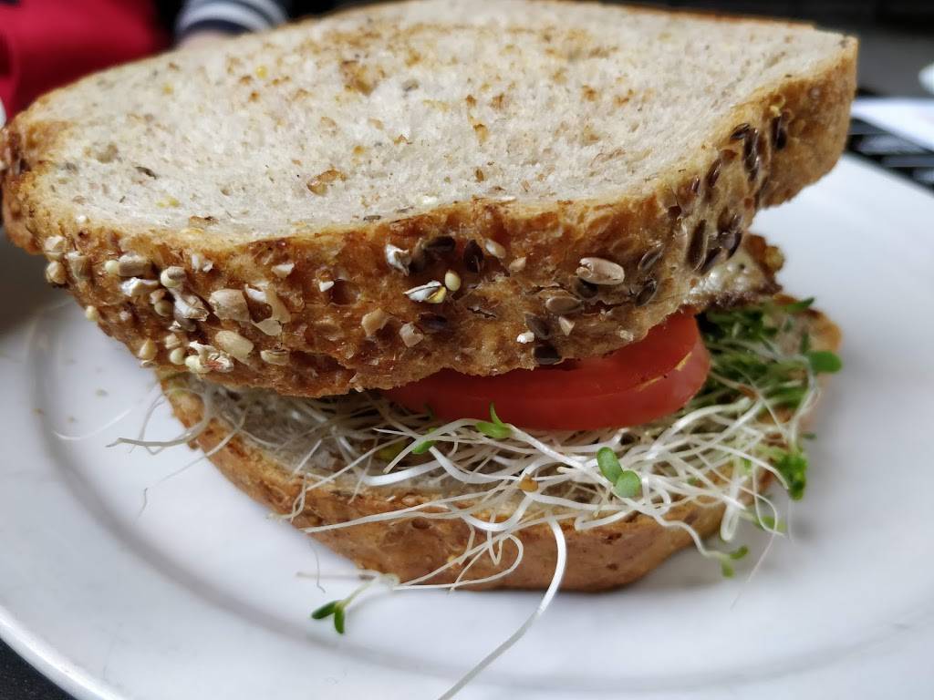 MFA Cafe | cafe | 5601 Main St, Houston, TX 77005, USA | 7135214469 OR +1 713-521-4469