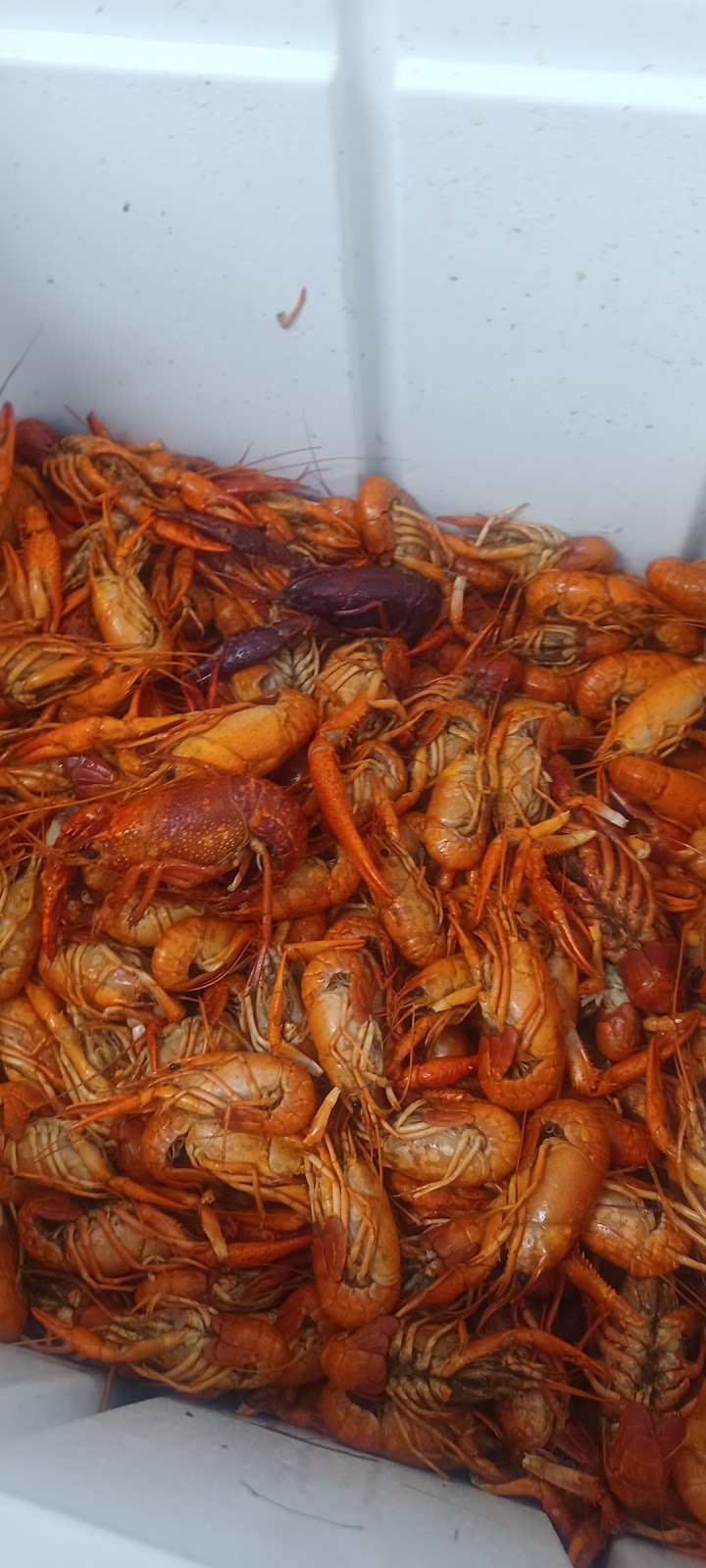 Bayou Boil & Que, LLC | restaurant | 17755 LA-77, Grosse Tete, LA 70740, USA | 2256482023 OR +1 225-648-2023