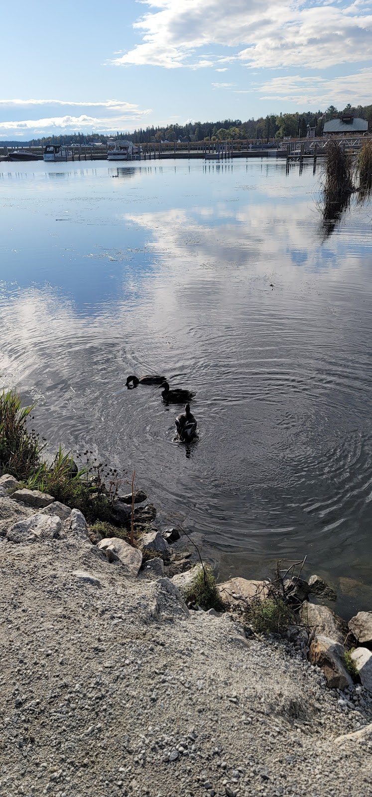 Cattails Cove | restaurant | 22 E Hodeck St, Cedarville, MI 49719, USA | 9064842995 OR +1 906-484-2995