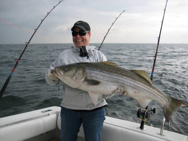 Chesapeake Adventures Sportfishing | restaurant | 3500, 5300 Breezy Point Rd, Chesapeake Beach, MD 20732, USA | 3017583475 OR +1 301-758-3475