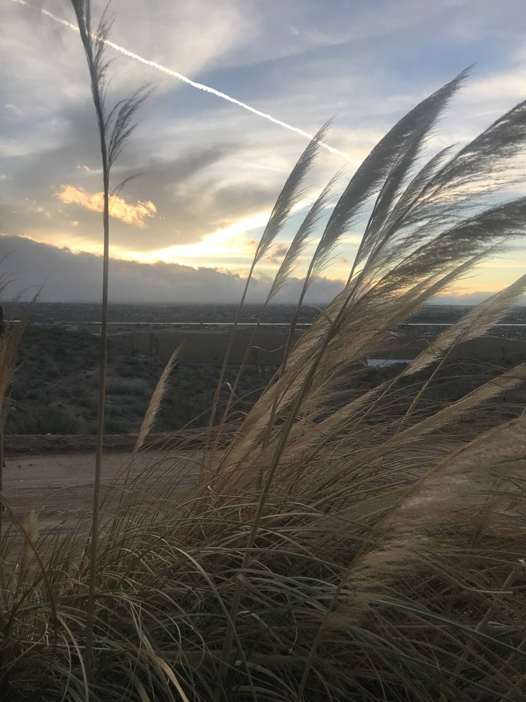 Hilltop Tavern and Inn | restaurant | 9544 Kiowa Rd, Apple Valley, CA 92308, USA | 7609618698 OR +1 760-961-8698