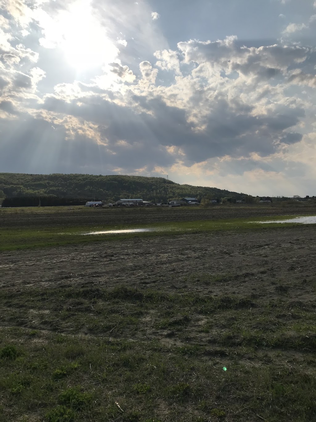 Misty Meadows Organic Farm | restaurant | 1164 Main St, Grand Isle, ME 04746, USA | 2078958015 OR +1 207-895-8015