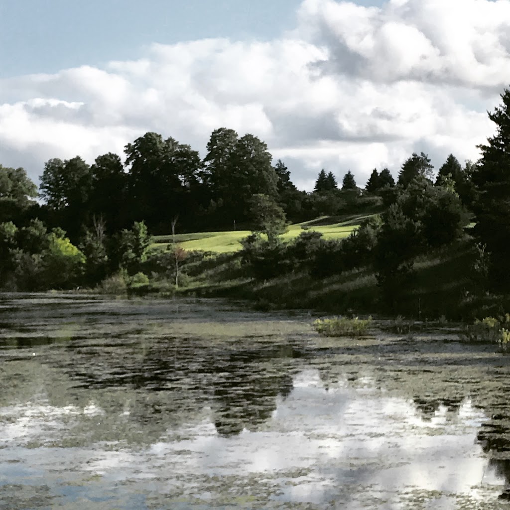 Mistwood Golf Course | restaurant | 7568 Ole White Dr, Lake Ann, MI 49650, USA | 2312755500 OR +1 231-275-5500