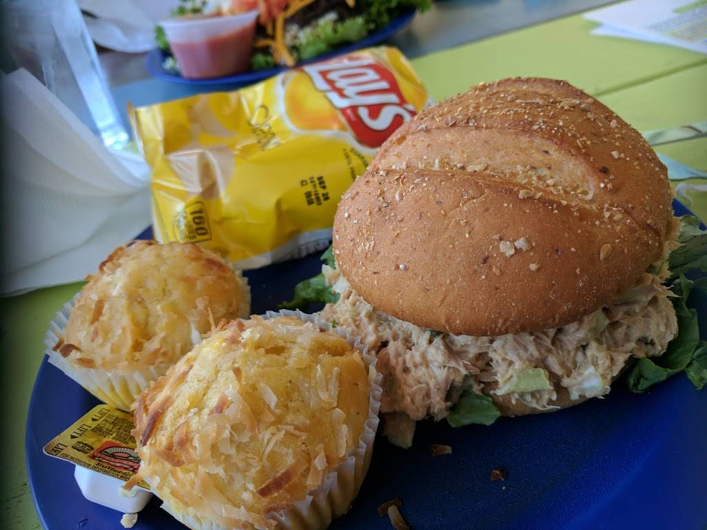 Calypso Cafe | restaurant | 3307 Charlotte Ave, Nashville, TN 37209, USA | 6153213878 OR +1 615-321-3878