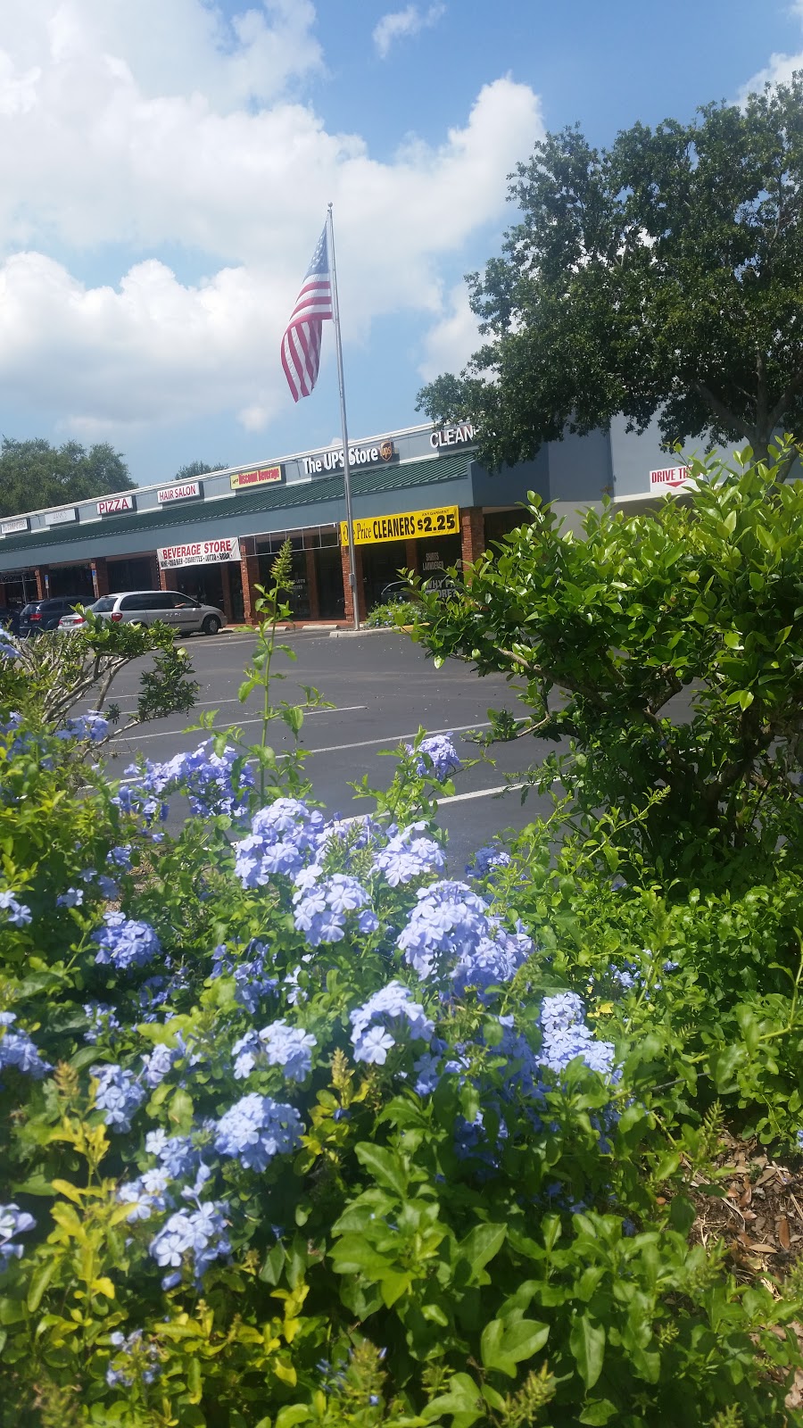 Steves Pizzeria | restaurant | 8830 N Himes Ave, Tampa, FL 33614, USA | 8139307900 OR +1 813-930-7900