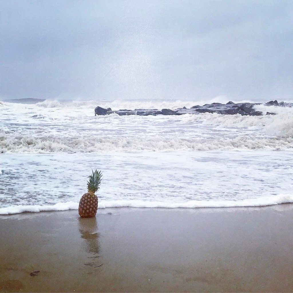 Playa Bowls | cafe | 277 Huntington Ave, Boston, MA 02115, USA | 6178595814 OR +1 617-859-5814