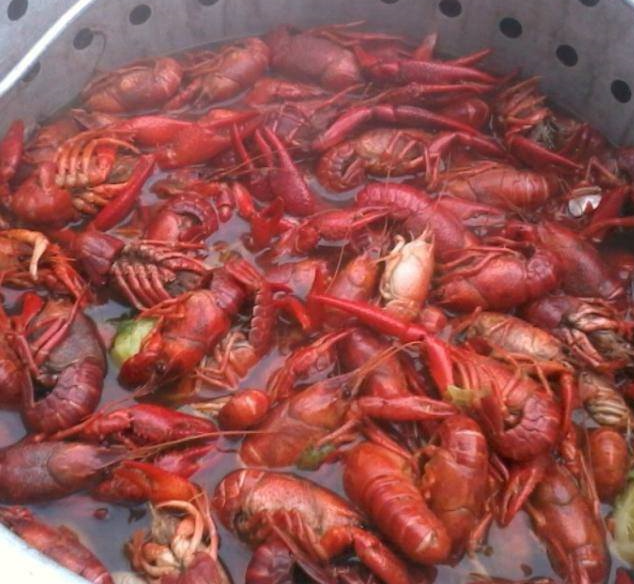 Shrimp & Bayou Classics | restaurant | 3167 W Republic Rd, Springfield, MO 65807, USA | 4175670500 OR +1 417-567-0500